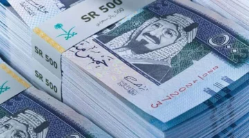 بفترة سماح حتى 3 شهور.. كيفية الاستفادة من تمويل الضمان الاجتماعي 750 ريال والشروط المطلوبة